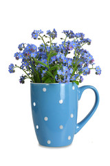 Forget me not flowers in mug isolated on white background
