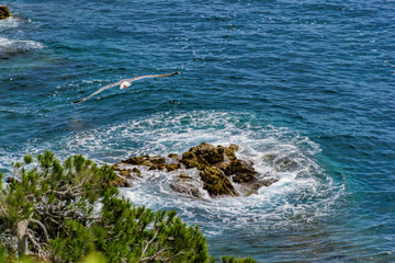 Naklejka premium Beautiful view of clear mediterranean sea waves crash on rocks at wild stone beach in Europe. Blanes, Costa Brava, Spain.