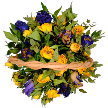 Bouquet of withered roses on a white isolated background. Top view of yellow and blue dry flowers in a wicker basket. Beautiful wilted Rza in the created composition.