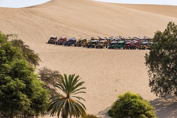 Boogies on Sand Dunes