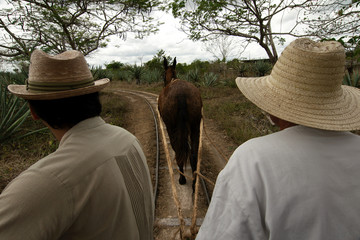 People move around the Hacienda Sotuta de Peon on a horse pulled cart running on rails, Tecoh, Yucatan, Mexico