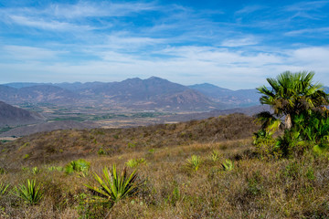 cerro de la vieja