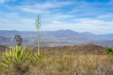 cerro de la vieja