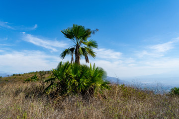 cerro de la vieja