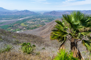 cerro de la vieja