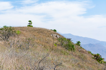 cerro de la vieja