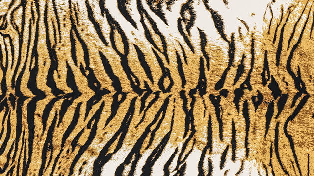 Illustration Art of Indo-Chinese Tiger (Panthera Tigris Corbetti) Skin / Pelt / Fur for Background, Backdrop, or Wallpaper.