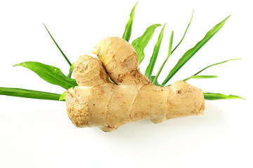 fresh ginger root with leaves and slice in white background