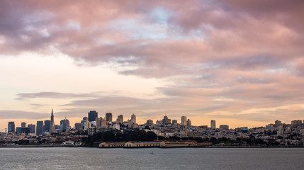 Fototapeta premium San Francisco Skyline