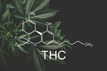 THC formula, Tetrahydrocannabinol . Growing Marijuana, despancery business. cannabinoids and...