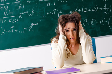 Young female math teacher in front of chalkboard  