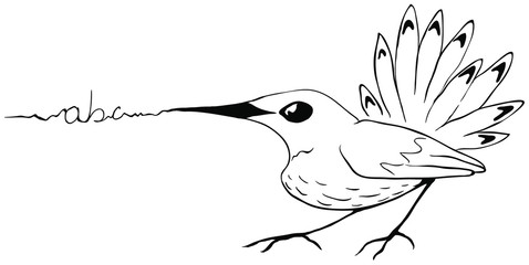Message Writing Bird Line Drawing