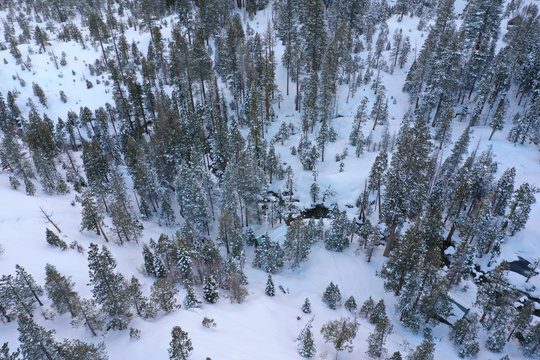 Aerial photo Eldorado national forest California