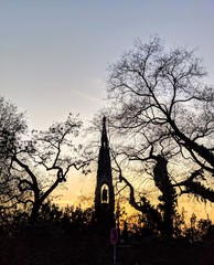 My collection of some great shots