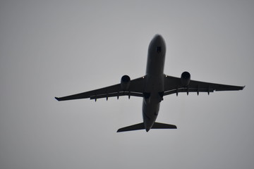 飛行機