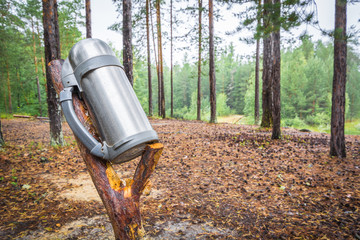 Sealed camping thermos for hot tea or coffee hangs on wooden stick and dries in woods after rain.