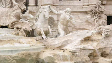 close up of a trevi fountain horse and triton statue in rome