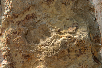 Background texture of light brown stone with cracks and dark spots. Cropped shot, horizontal, place for text, nobody, close-up. Conception of construction and nature.