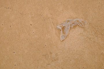 plastic bag on the top view with selective focus in the morning