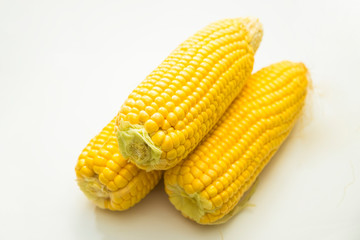 maize