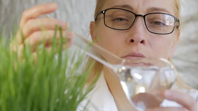 Close-up of a woman scientist looking at the contents of a glass flask with a clear liquid next to the growing green grass.