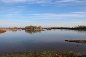 Paesaggio Isola della Cona