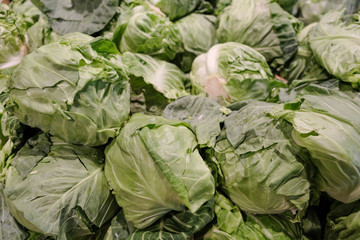 Fototapeta na wymiar Cabbage background. Fresh cabbage from farm field. Close up macro view of green cabbages. Vegetarian food concept.