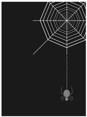 Spider and cobweb on black background , vector illustration