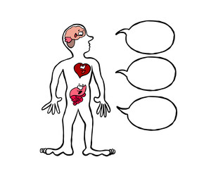 Three brains speaking : brain, heart and gut