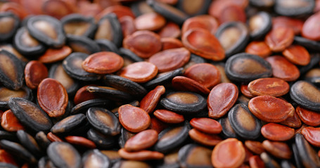 Mix with melon and sunflower seed