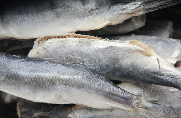 tiefgekühlte Heringe 