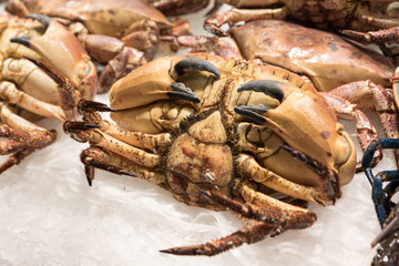 crab market sea fish