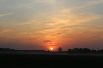 Sunset in the field 11