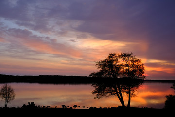 Sunset over lake with tree silhouette. All colors red and orange. Still water.