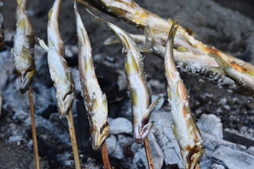 Grilled freshwater trout 