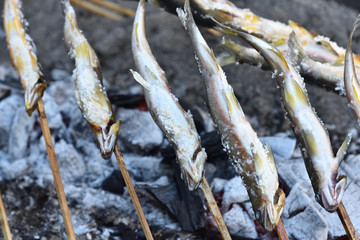 Grilled freshwater trout 