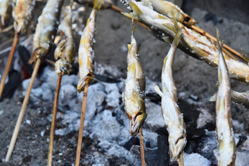 Grilled freshwater trout 