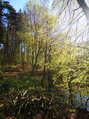 Frühlingsspaziergang