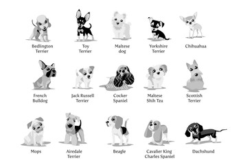 Vector illustration of dogs puppies different breeds isolated on white background