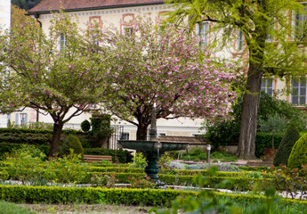 Obraz premium l'albero con fiori rosa