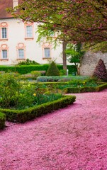 Obraz premium un tappeto di petali rossa