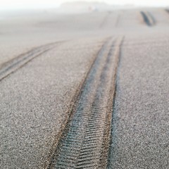 Tyre tracks on isolated beach