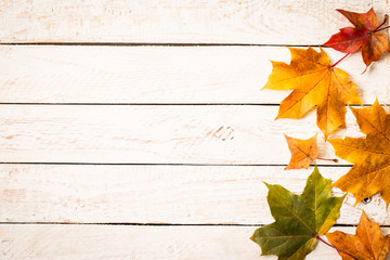 Colorful autumn leaves on white rustic background.