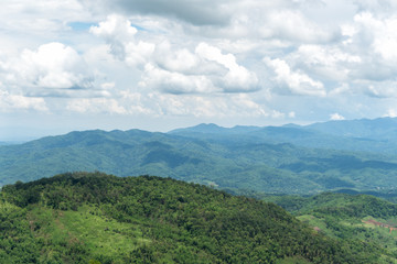 Fototapeta premium Mountain forest valley and cloud sky. Doi chang in Chiang Rai, Thailand.