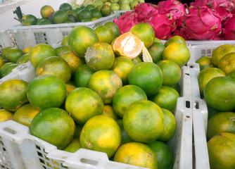 fresh orange fruit in a basket on the market