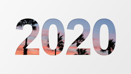 2020 over palm background