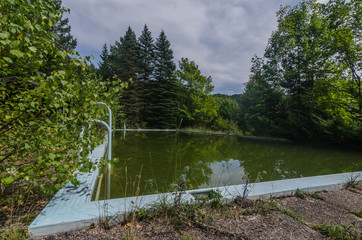verwachsenes schwimmbad