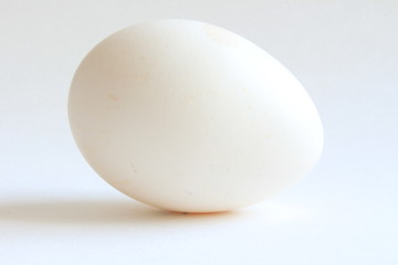 egg isolated on white background