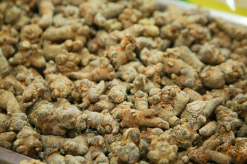 Yunnan notoginseng