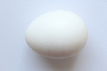 white egg